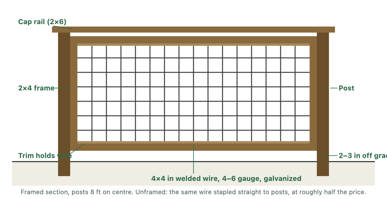 Anatomy of a framed hog wire fence section: 4x4-inch welded wire panel inside a 2x4 wood frame between two posts, with a cap rail on top, trim strips holding the wire, and the panel held two to three inches above the ground.